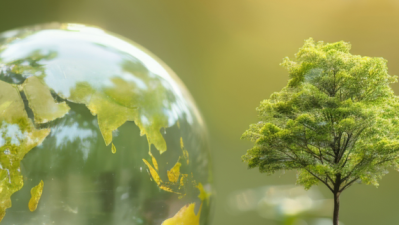 Advanced Environmental Management